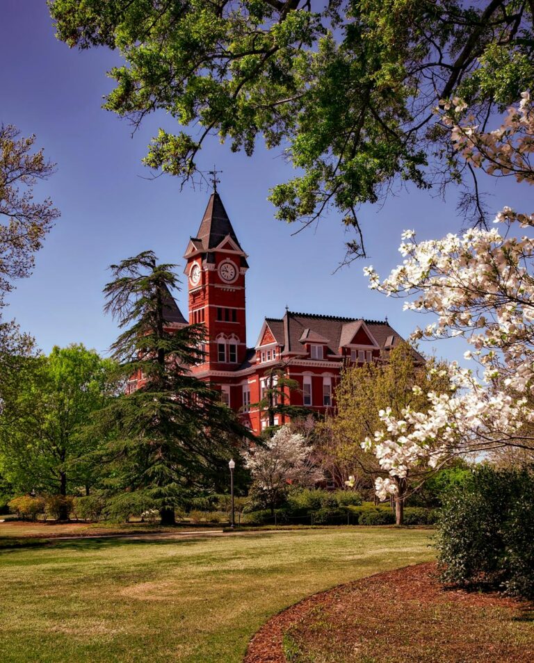 brown building surrounded by trees